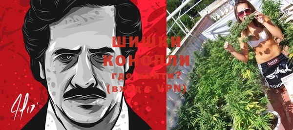 ПСИЛОЦИБИНОВЫЕ ГРИБЫ Валуйки
